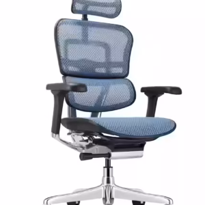Ergohuman Executive Chairs, Mesh and Leather $989+