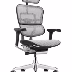 Ergohuman Executive Chairs, Mesh and Leather $989