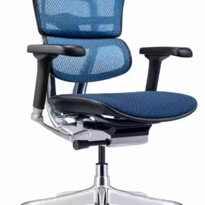 Ergohuman Executive Chairs, Mesh and Leather $989+