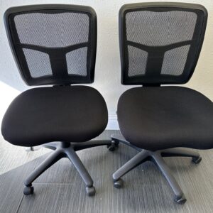 Multi-Function Ergonomic Task Chairs, Armless $75ea